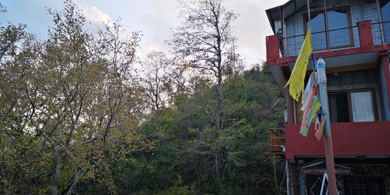 Hill Top Swiss Cottage Rishīkesh Εξωτερικό φωτογραφία