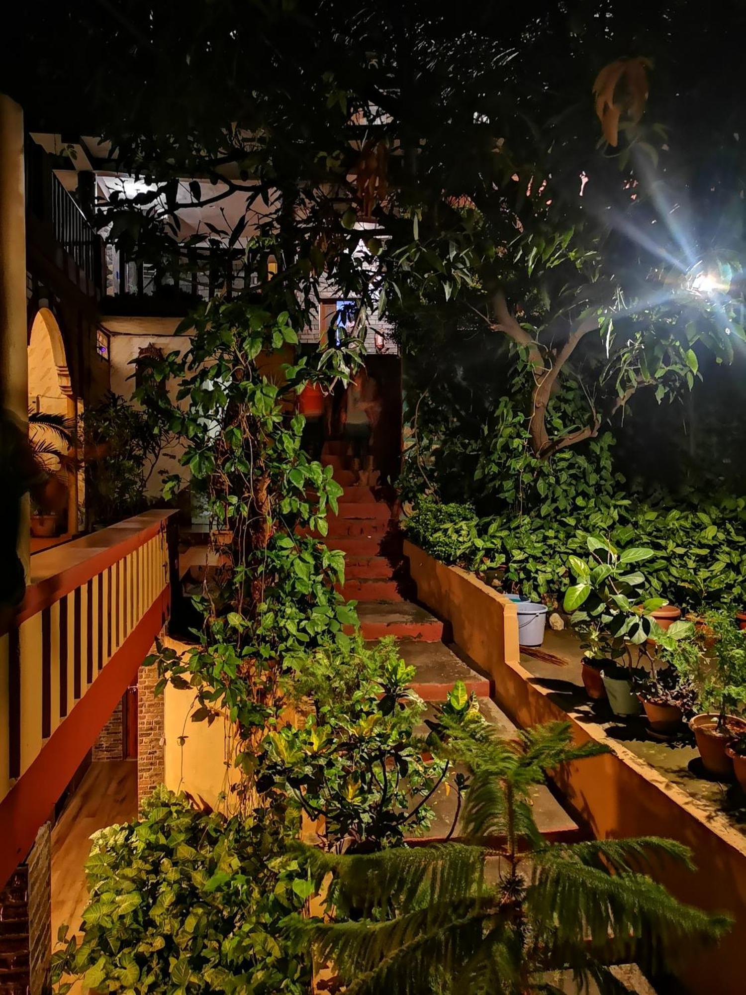 Hill Top Swiss Cottage Rishīkesh Εξωτερικό φωτογραφία